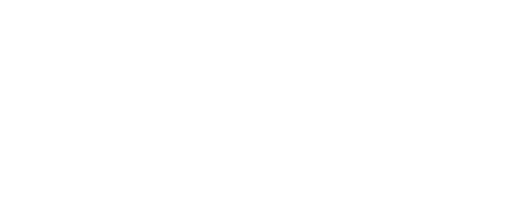 white_logo_transparent_background_mini